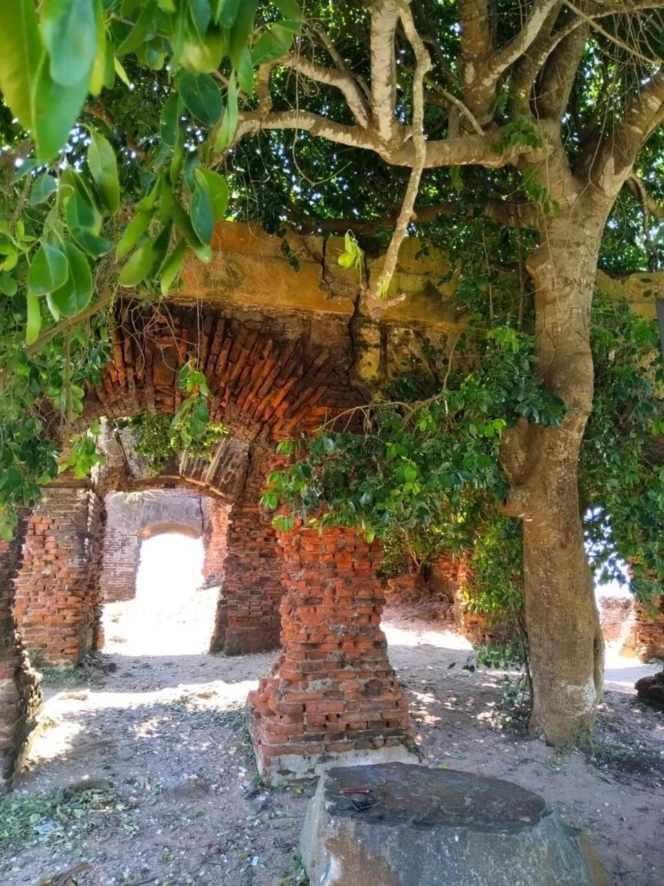 Enoch Guest House Mannar Εξωτερικό φωτογραφία